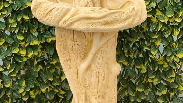 How to Stop a Bird Bath Freezing or Cracking in Winter