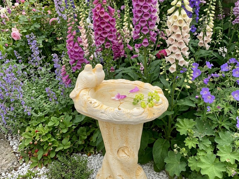 Dove Birdbath in sandstone surrounded by foxgloves and cottage garden planting