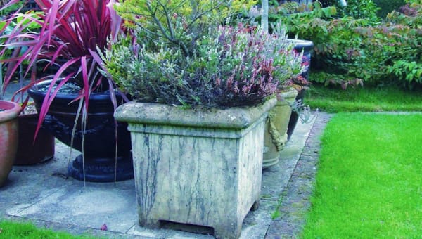 How to Stop Garden Pots and Planters Cracking in Frost