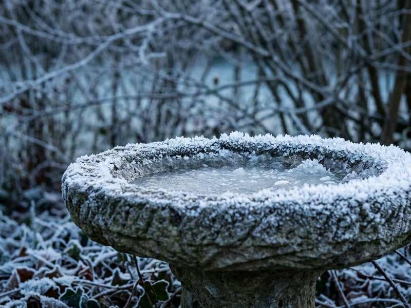 Stone bird bath covered in heavy frost in a UK winter garden