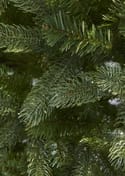 Laugh Neagh Pine Christmas Tree