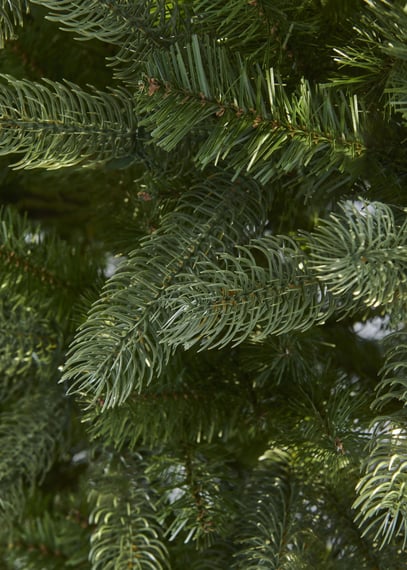 Laugh Neagh Pine Christmas Tree