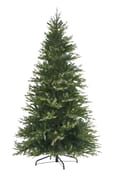 Balmoral Fir Christmas Tree 6ft