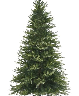 Balmoral Fir Artificial Christmas Tree 6ft