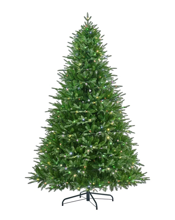 Florence Fir Pre Lit Christmas Tree 6ft