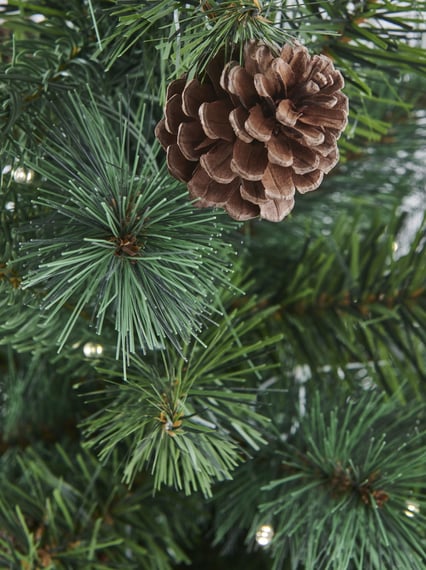 Hazlenut 4ft Potted  Christmas Tree with Cones