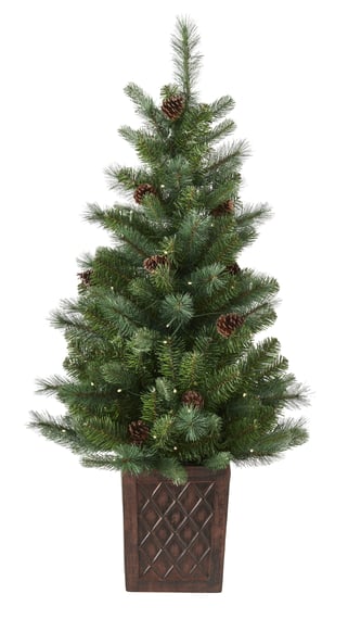 Hazlenut Potted Pine Christmas Tree 4ft