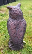 Long Eared Owl Garden Statue Large