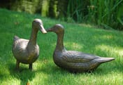 Pair of Ducks Bronzed Garden Ornaments
