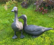 Pair of Ducks Garden Statues