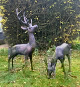 Stag and Doe Garden Sculptures Medium Original Photo