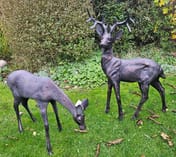 Stag and Doe Garden Sculptures Large Original