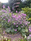 Penny Farthing Vintage Bicycle Metal Garden Wall Art