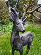 Stag Deer Garden Ornament