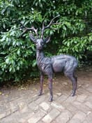 Large Stag Deer Garden Sculpture Ornament