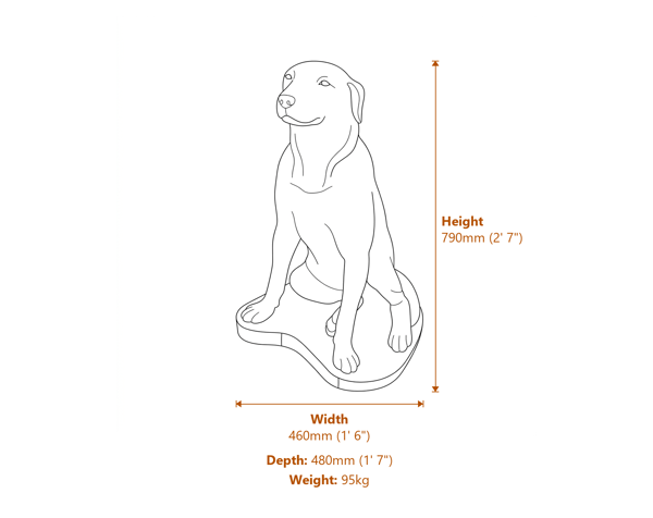 Labrador Garden Statue Dimensions Diagram