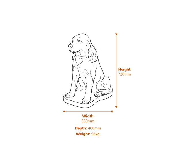 Spaniel Garden Statue Dimensions Diagram