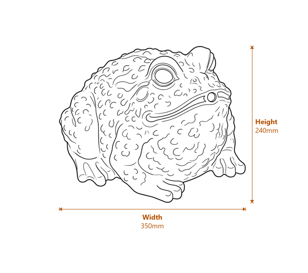 Bull Frog Fountain Metal Garden Ornament Dimensions Diagram