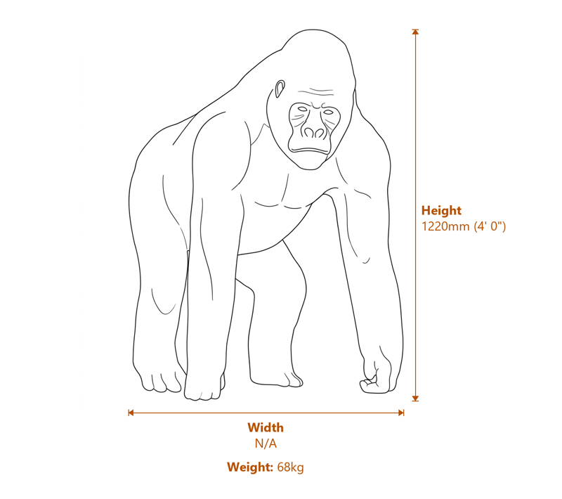 African Animal Garden Ornaments Dimensions Diagram