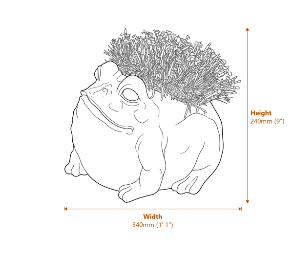 Bullfrog Garden Planter Metal Garden Ornament Dimensions Diagram