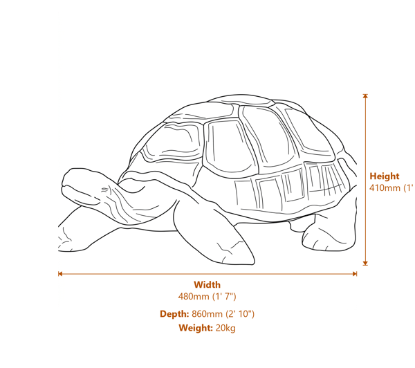 Large Tortoise Metal Garden Ornament Dimensions Diagram