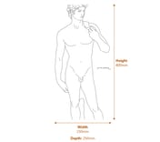 David Garden Statue in White dimension diagram showing 800mm height 230mm width 250mm depth