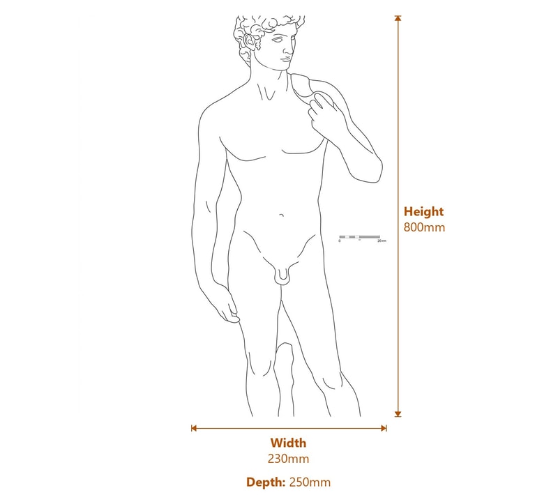 David Garden Statue in White Dimensions Diagram