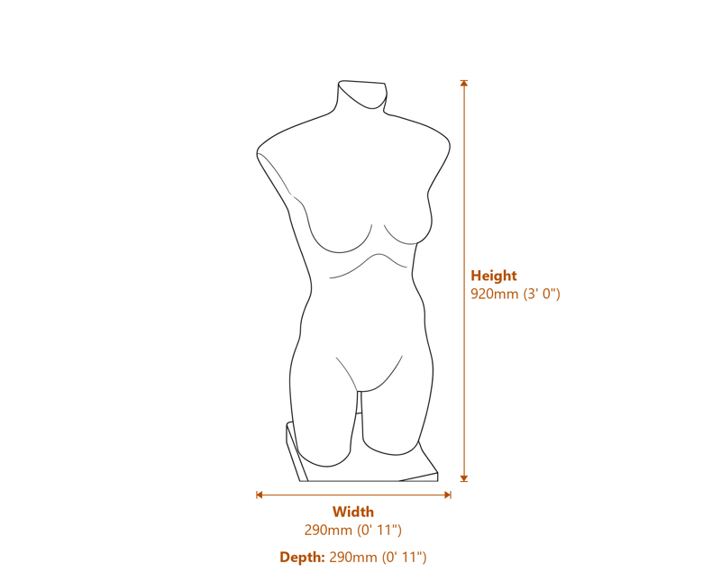 Stone Busts Dimensions Diagram