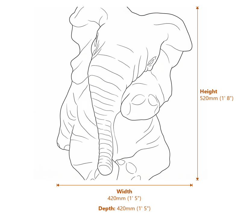 Ellie The Elephant Stone Garden Ornament in Sandstone Dimensions Diagram