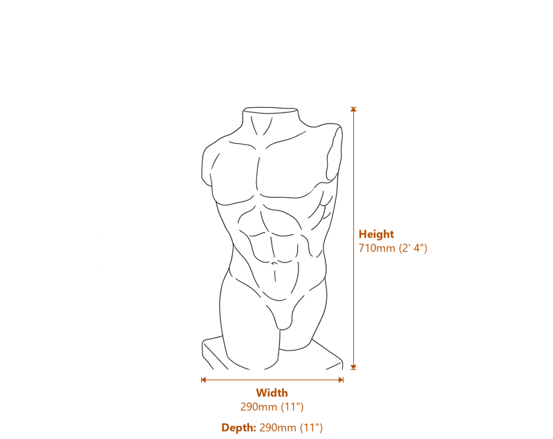 Clasic Garden Statues Dimensions Diagram
