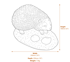 Hedgehog with Apples Stone Garden Ornament in Stone Dimensions Diagram