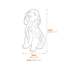 Loyal Spaniel Garden Ornament in Stone Dimensions Diagram