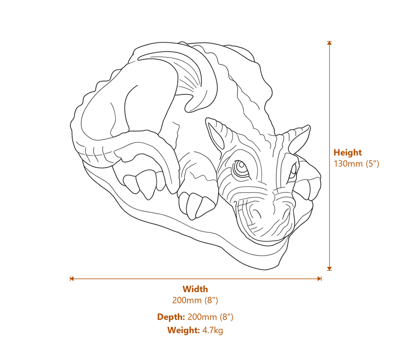 Dragon Hatchling Stone Garden Ornament in Sandstone Dimensions Diagram