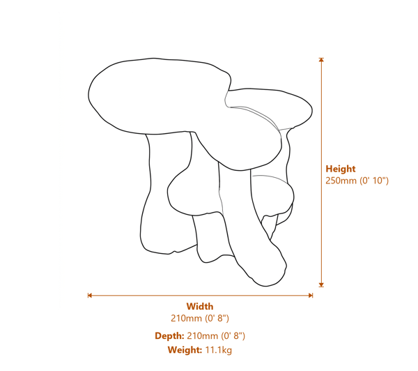 Large Mushroom Family Garden Ornament in Stone Dimensions Diagram