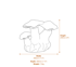 Small Mushroom Family Garden Ornament in Stone Dimensions Diagram