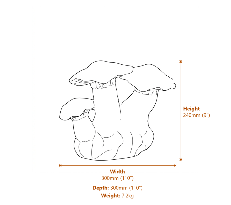 Small Mushroom Family Garden Ornament in Stone Dimensions Diagram