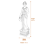 Small Hebe Goddess Garden Statue in Verdigris Dimensions Diagram