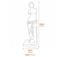 Venus De Milo Garden Statue Dimensions Diagram