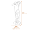 Small Virginia Garden Statue Dimensions Diagram