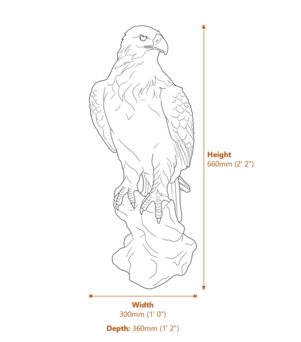 Eagle Garden Ornament in Bronze Dimensions Diagram