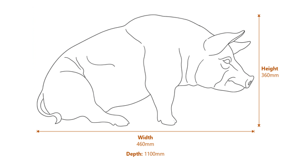 Sitting Pig Garden Ornament in Bronze Dimensions Diagram