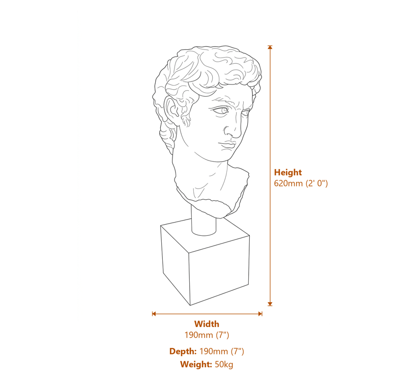 Bust of David Garden Ornament Cotswold Stone Dimensions Diagram