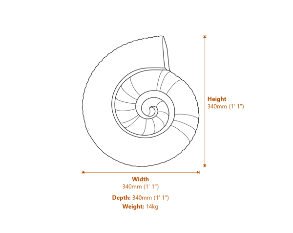 Large Stone Ammonite Garden Statue Dimensions Diagram