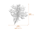 Eastern Connections Freestanding Steel Olive Tree Garden Ornament Dimensions Diagram