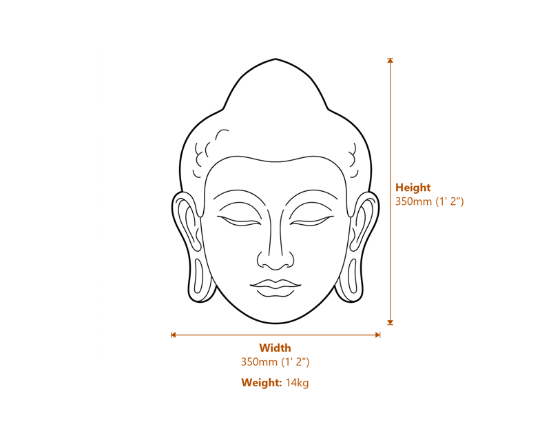 Stone Busts Dimensions Diagram