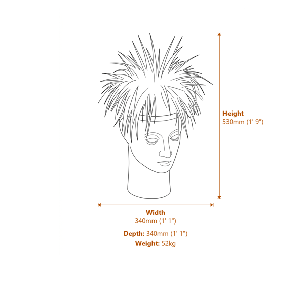 Gaia Head Vase  Dimensions Diagram