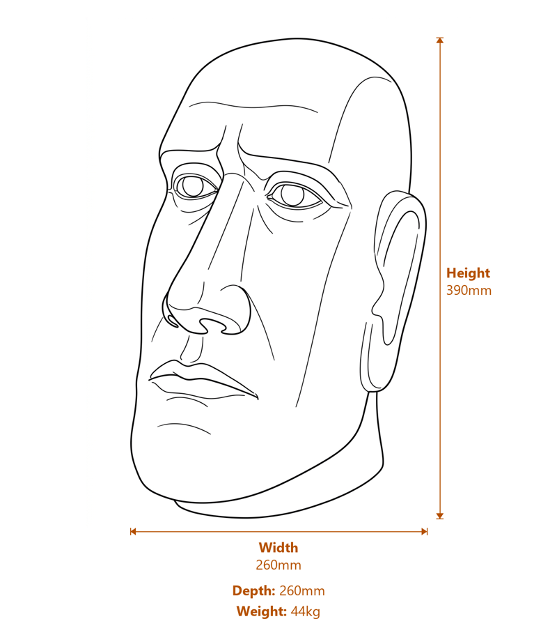 Stone Busts Dimensions Diagram