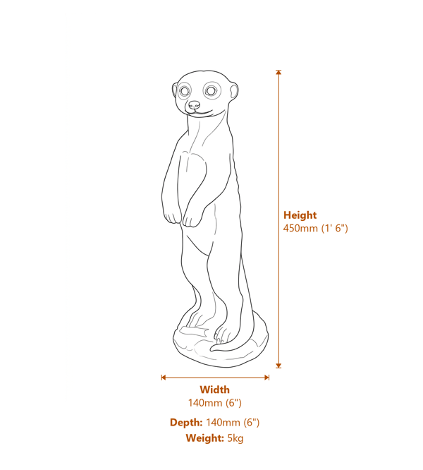 Stone Meerkat Statue Dimensions Diagram