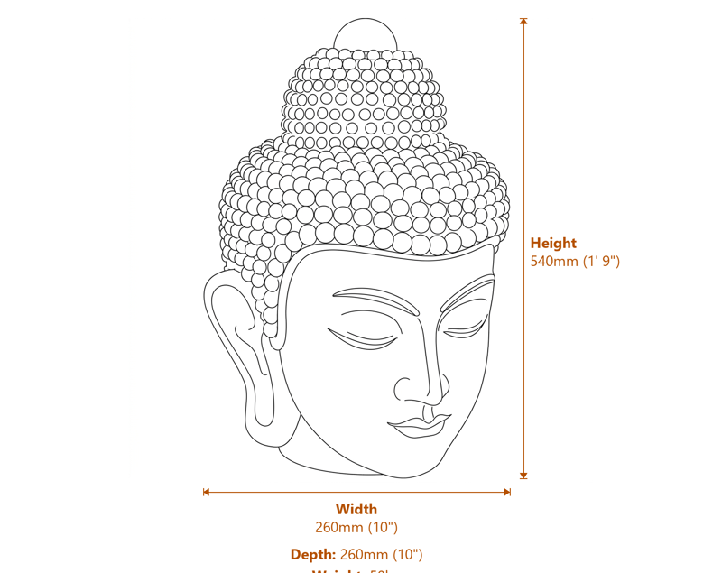 Stone Busts Dimensions Diagram