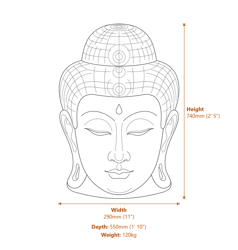 Stone Busts Dimensions Diagram